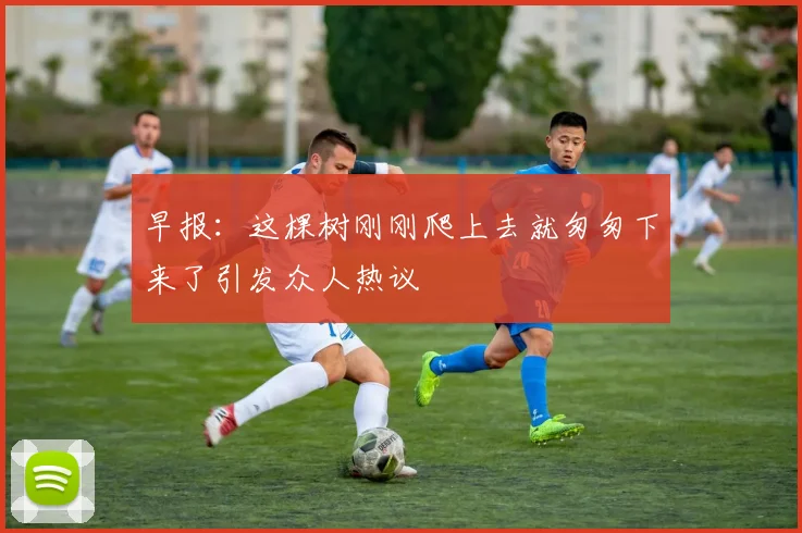 早报：这棵树刚刚爬上去就匆匆下来了引发众人热议