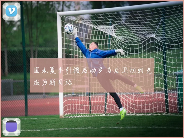 国米夏季引援启动罗马后卫切利克成为新目标