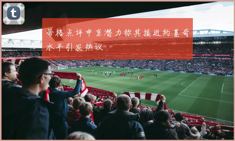 蒂格点评申京潜力称其接近约基奇水平引发热议