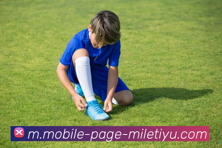 米乐体育平台生态图