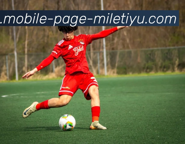 米乐体育全站App